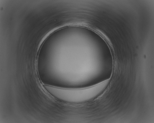 X0000081581340200701150951