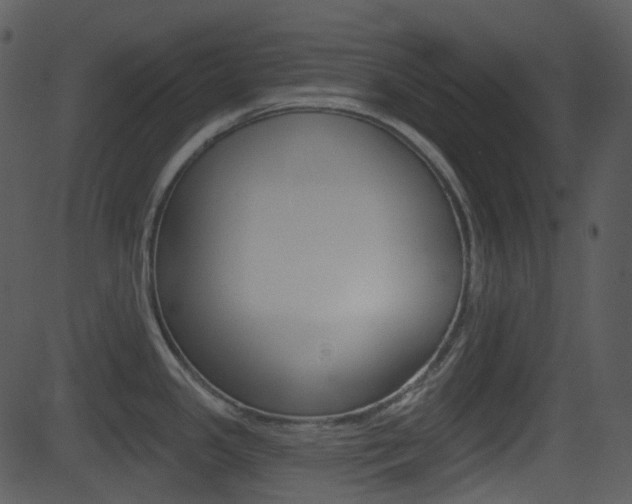 X0000081581341200701150951