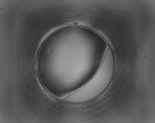 X0000081581342200701150951
