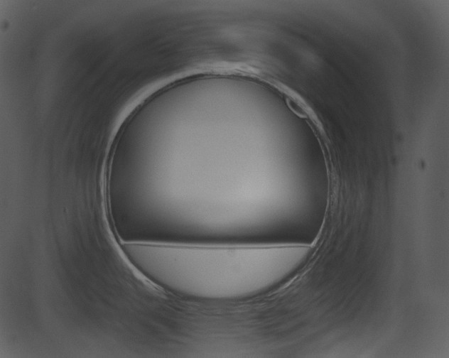 X0000081581343200701150951