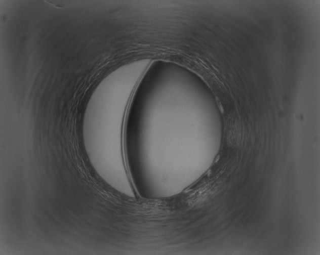 X0000081581345200701150950