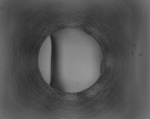 X0000081581346200701150950