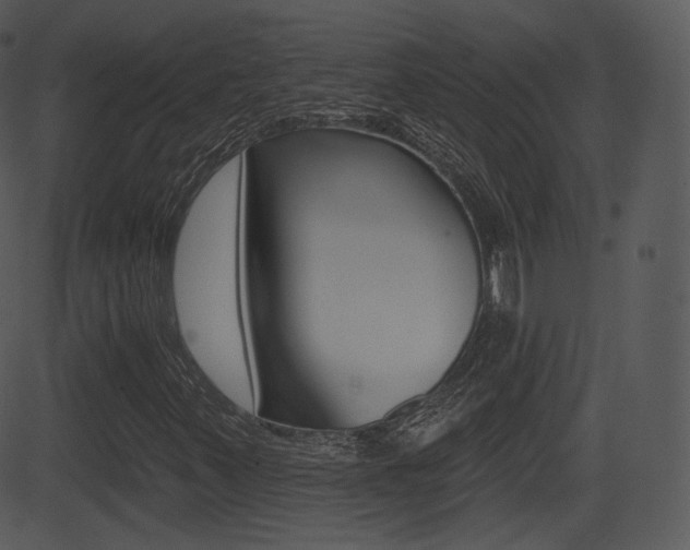 X0000081581347200701150950