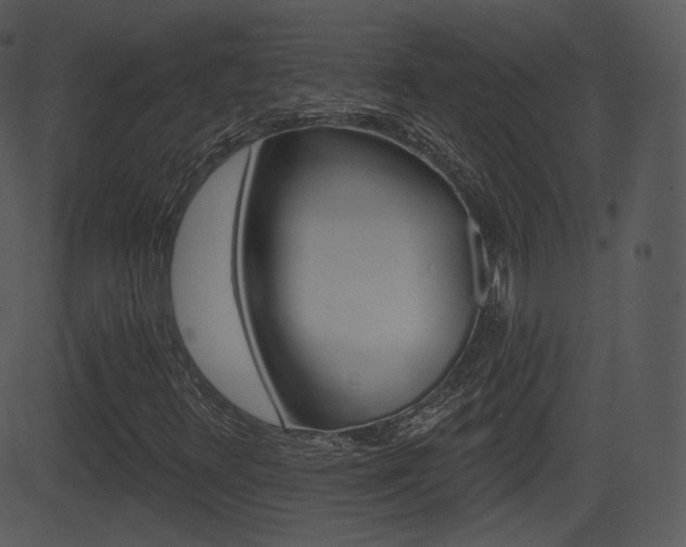 X0000081581348200701150950