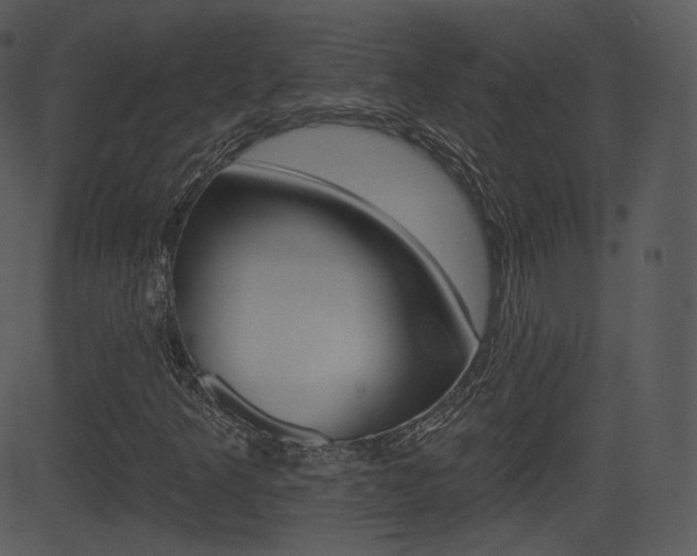 X0000081581349200701150950