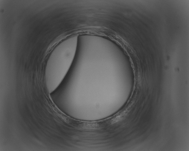 X0000081581354200701150950