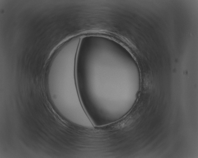X0000081581356200701150950