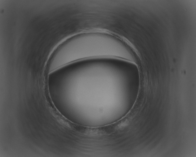 X0000081581364200701150950