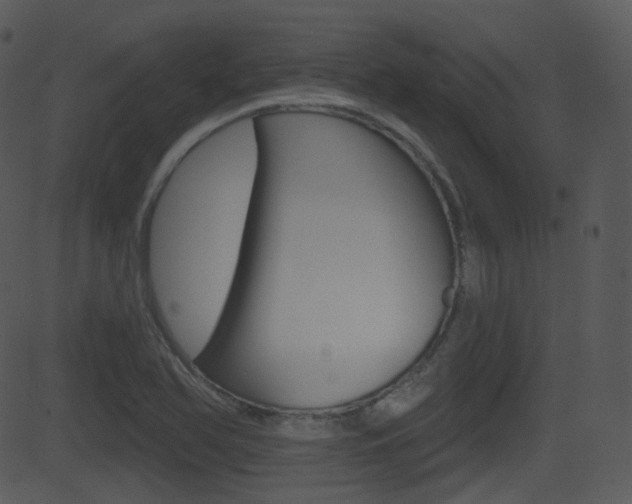 X0000081581366200701150950
