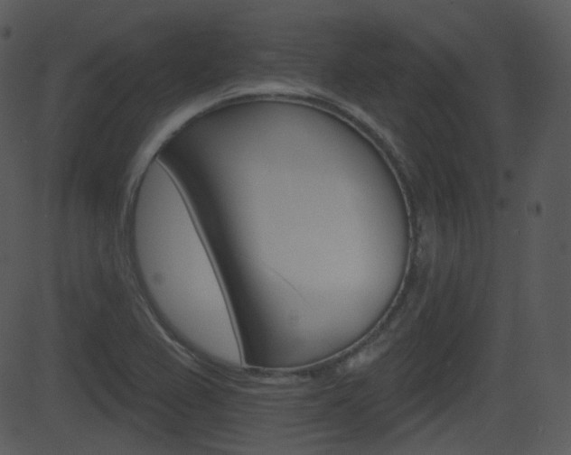 X0000081581367200701150950