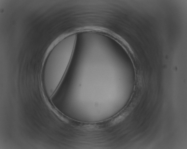 X0000081581373200701150950