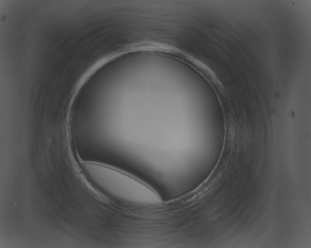 X0000081581375200701150950