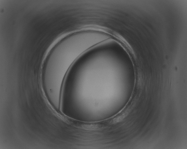 X0000081581376200701150950