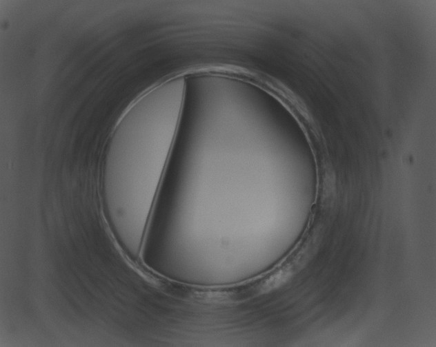X0000081581377200701150950