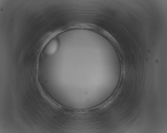 X0000081581378200701150950