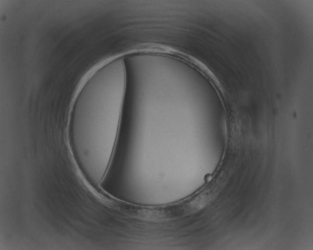 X0000081581379200701150950