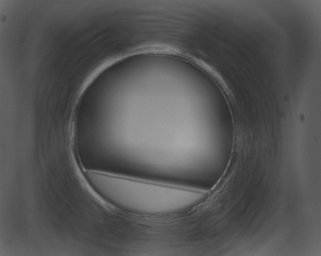 X0000081581383200701150950