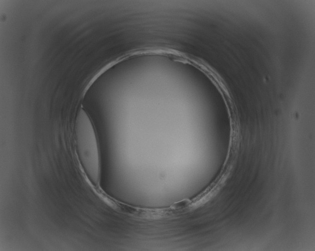 X0000081581385200701150949