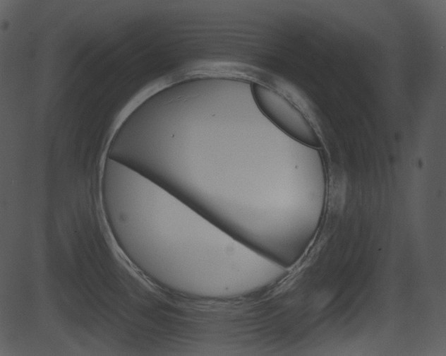 X0000081581386200701150949