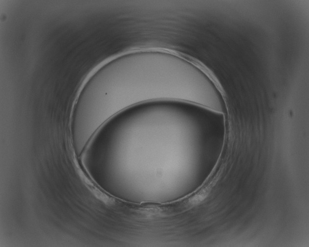 X0000081581388200701150949