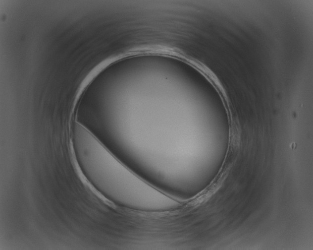 X0000081581389200701150949