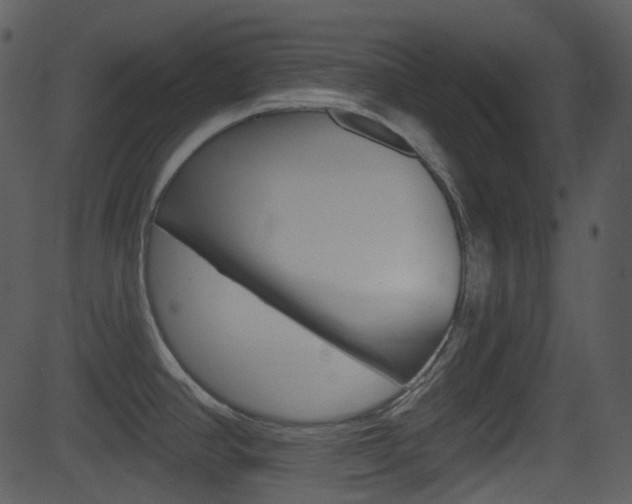 X0000081581390200701150949