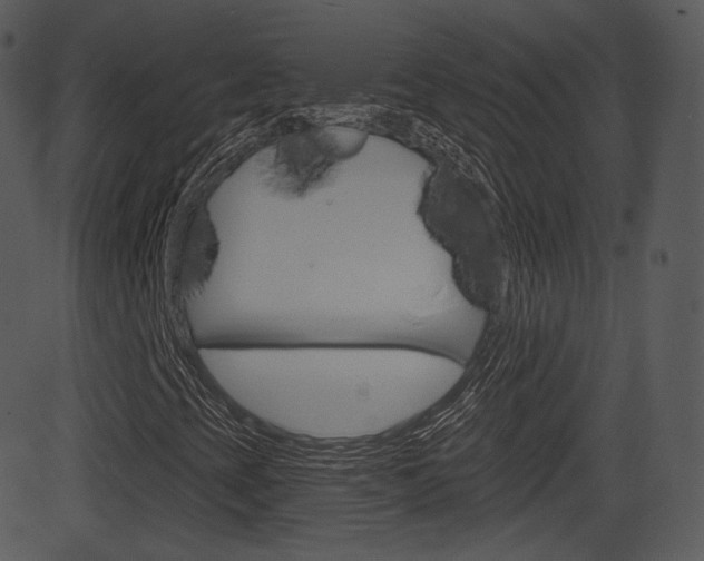 X0000081581393200701150949