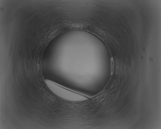 X0000081581394200701150949