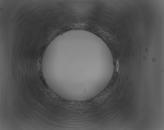 X0000081581395200701150949