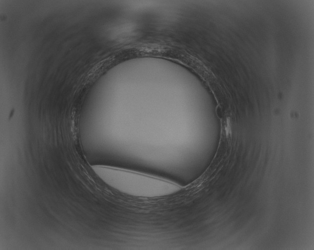 X0000081581396200701150949