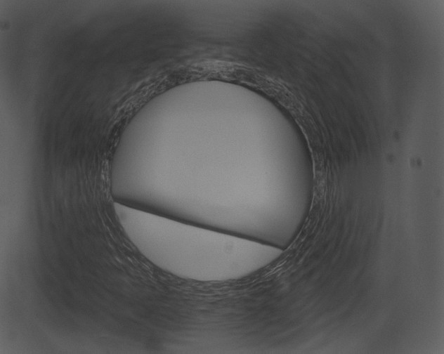 X0000081581397200701150949
