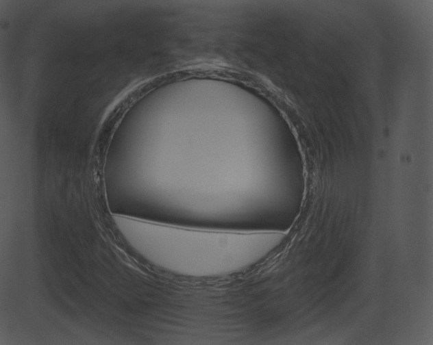 X0000081581400200701150949