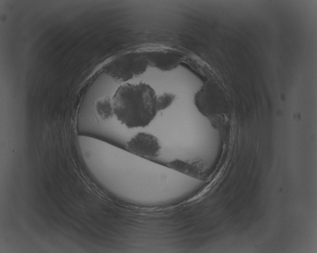 X0000081581401200701150949