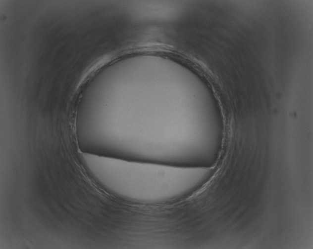 X0000081581405200701150949