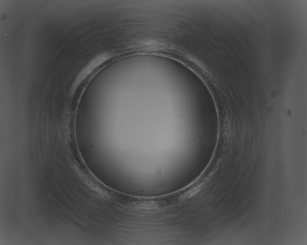 X0000081581410200701150949