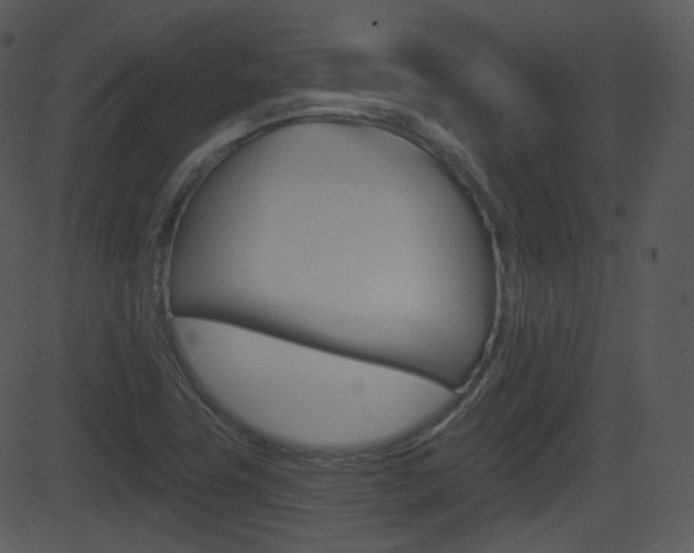 X0000081581411200701150949