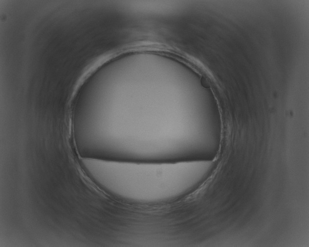 X0000081581413200701150949