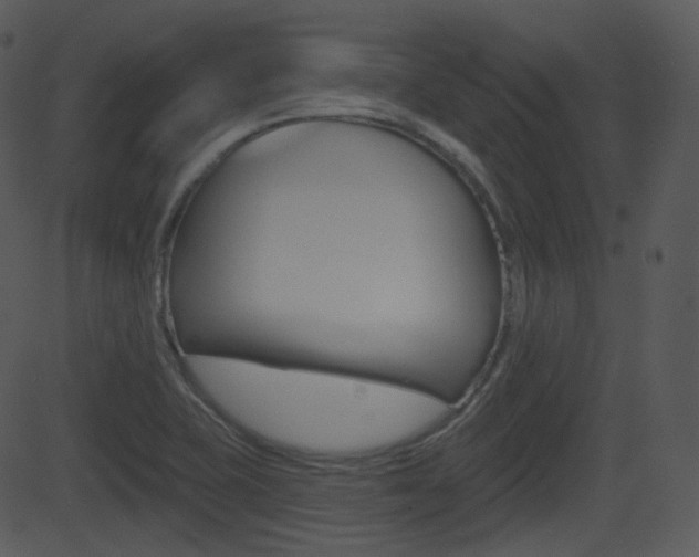X0000081581415200701150949