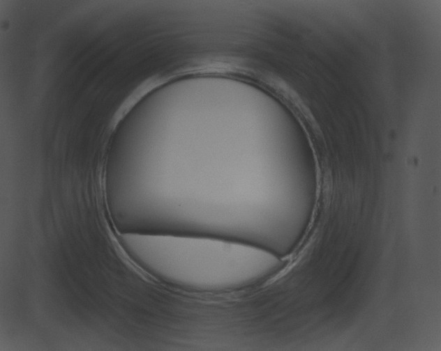 X0000081581417200701150949