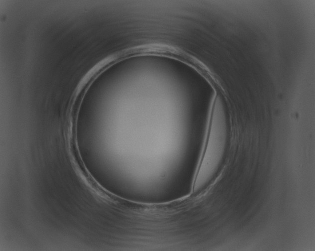 X0000081581418200701150949