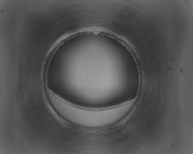 X0000081581422200701150949