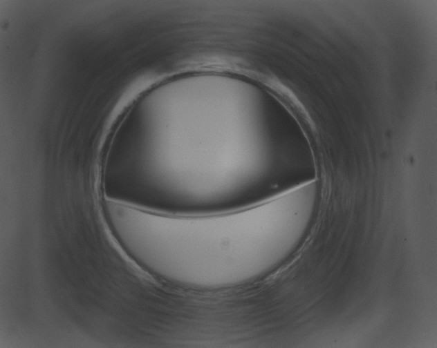 X0000081581424200701150949