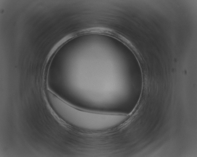 X0000081581426200701150949