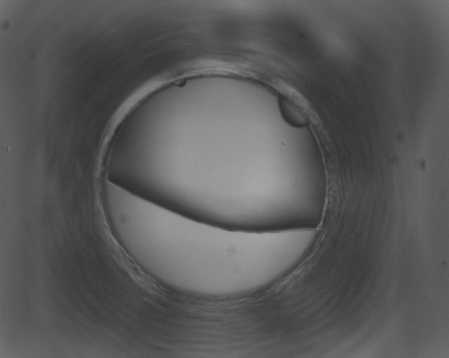 X0000081581427200701150949