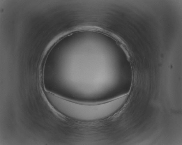 X0000081581430200701150949