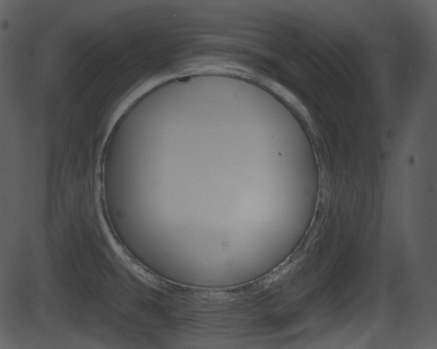 X0000081581431200701150949