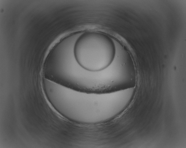X0000081581432200701150949