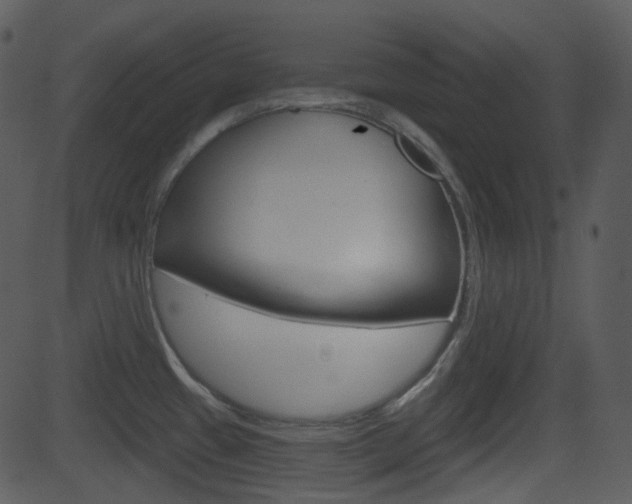 X0000081581433200701150949