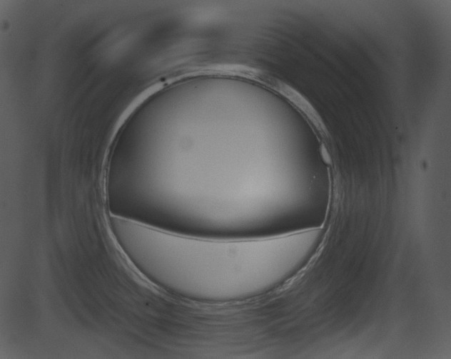 X0000081581436200701150949