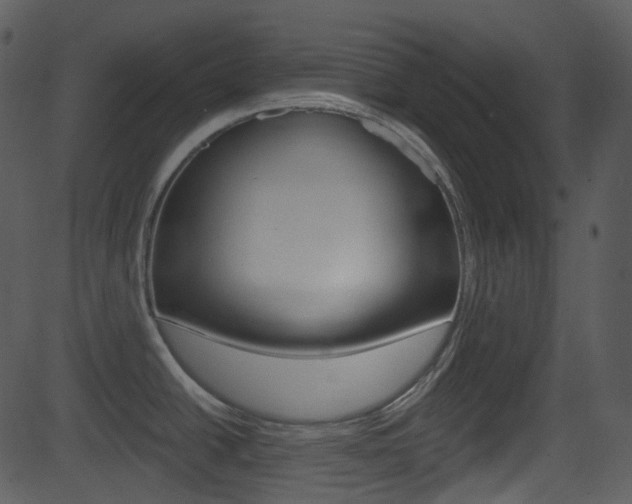 X0000081581438200701150949